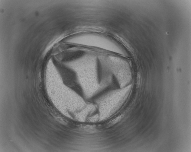 X0000082761261200702240055