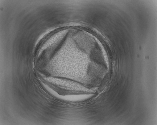 X0000082761262200702240055