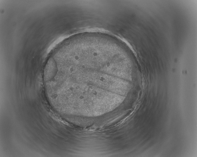 X0000082761263200702240055