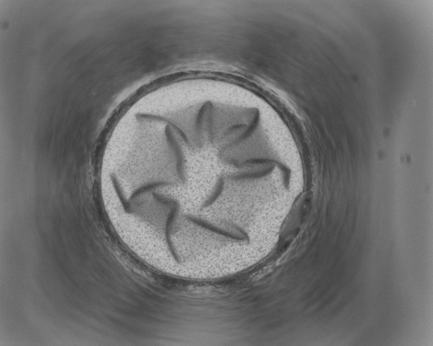 X0000082761264200702240055