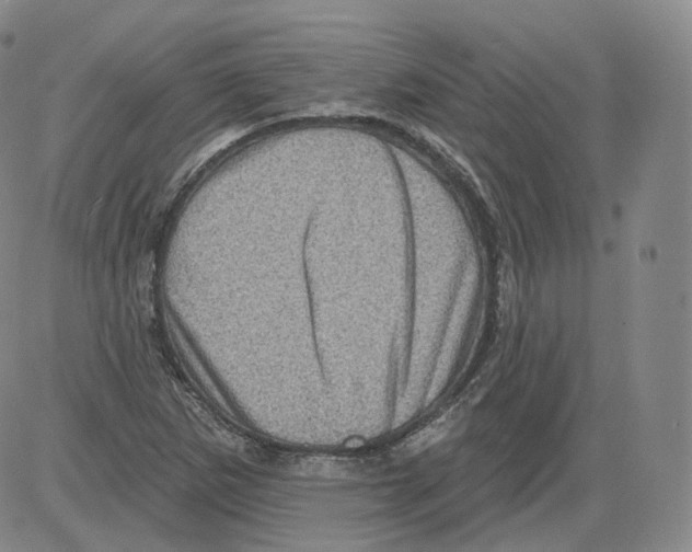 X0000082761265200702240055