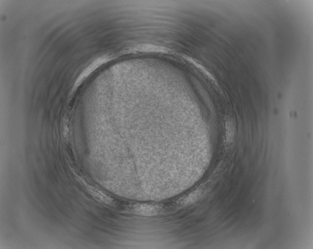 X0000082761266200702240055