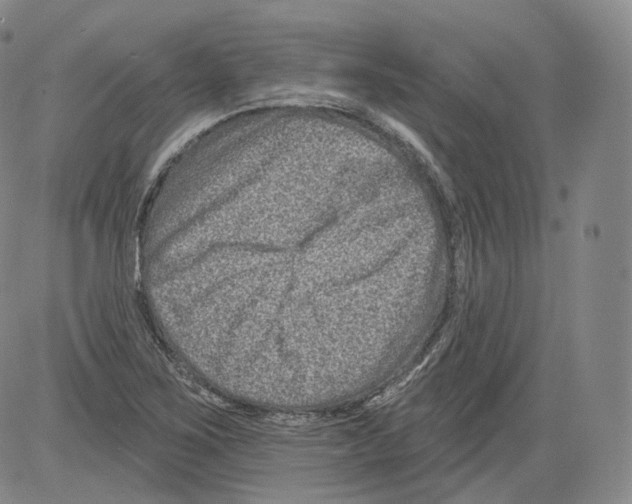 X0000082761267200702240055