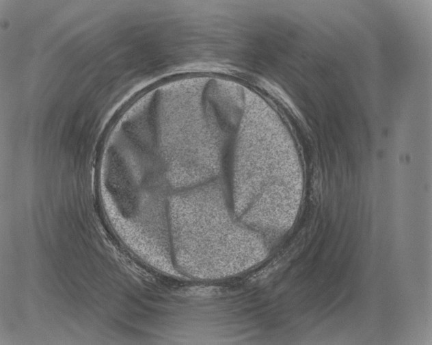 X0000082761268200702240055