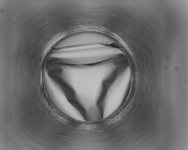 X0000082761269200702240055