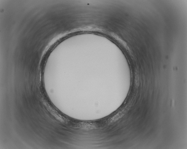 X0000082761270200702240055