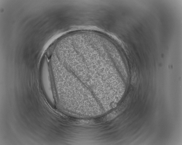 X0000082761271200702240055