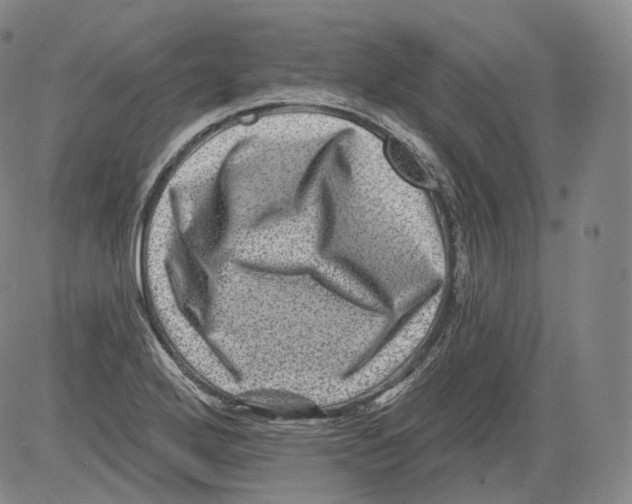 X0000082761272200702240055