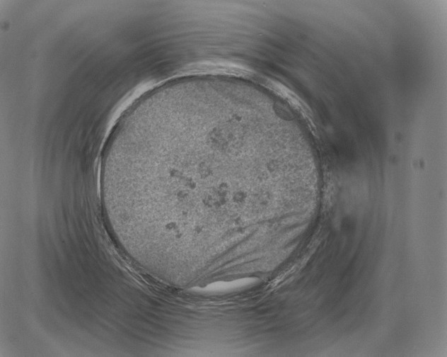 X0000082761275200702240055