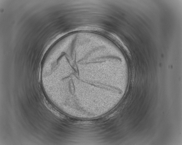 X0000082761276200702240055