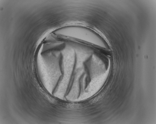 X0000082761277200702240055