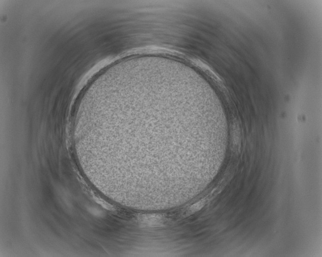 X0000082761278200702240055