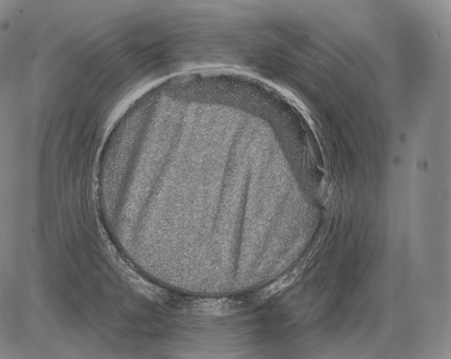 X0000082761279200702240055