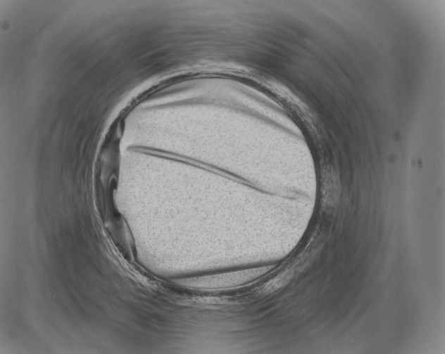 X0000082761280200702240055