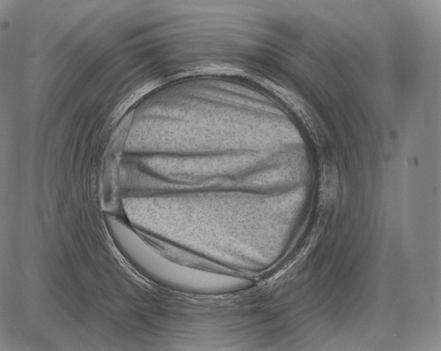 X0000082761281200702240055