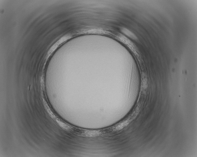 X0000082761282200702240055