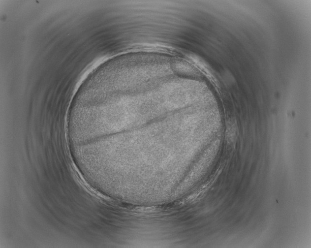 X0000082761283200702240055