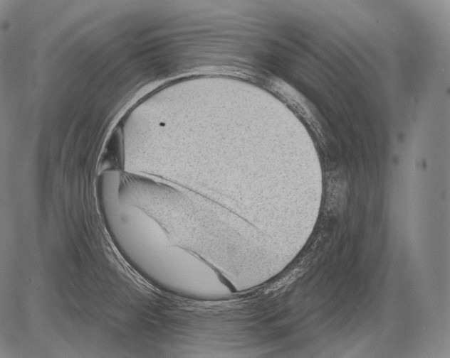 X0000082761284200702240055