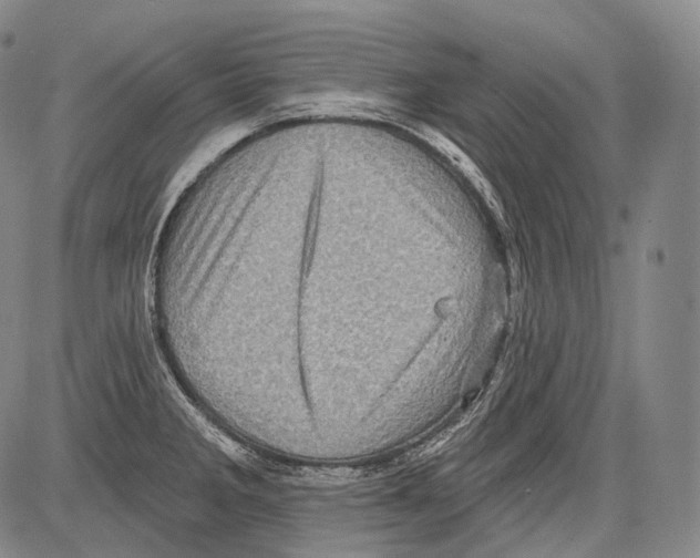 X0000082761285200702240055