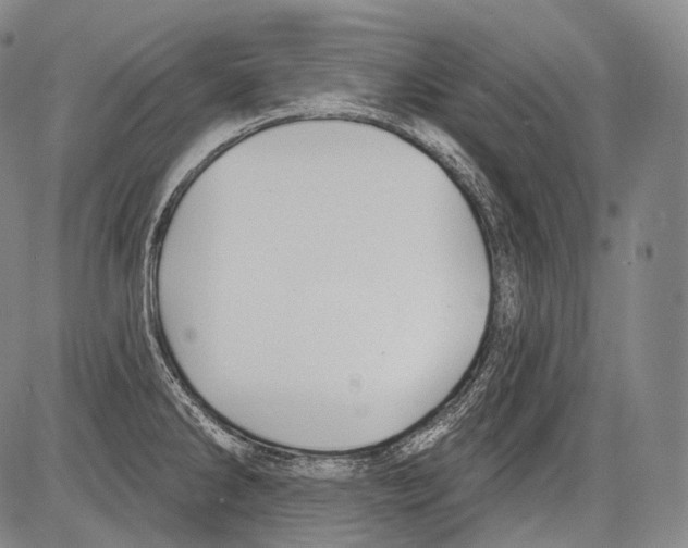 X0000082761286200702240055