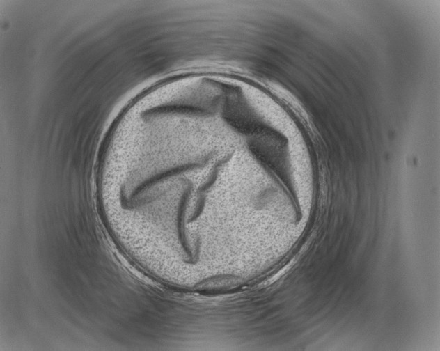 X0000082761288200702240055