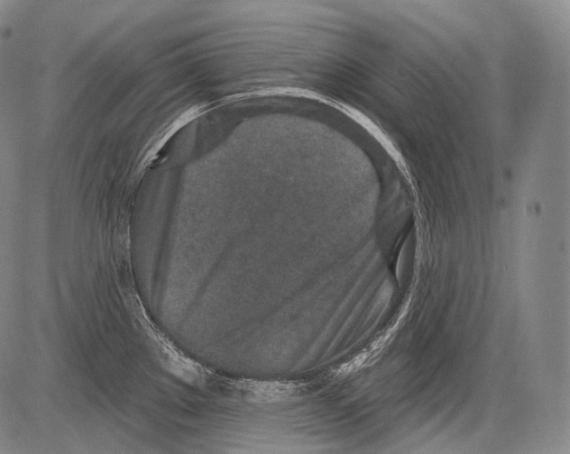 X0000082761289200702240055