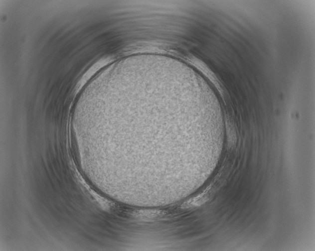 X0000082761290200702240055