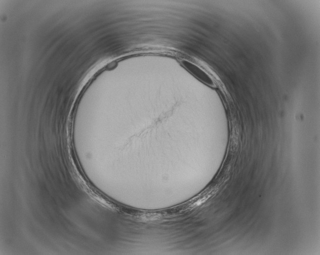 X0000082761291200702240055