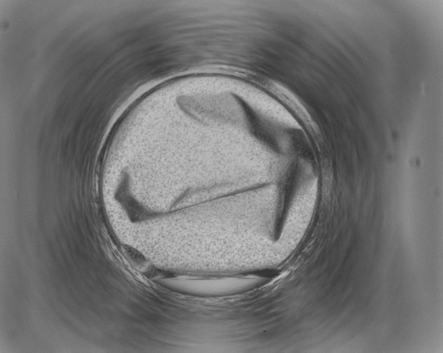 X0000082761292200702240055