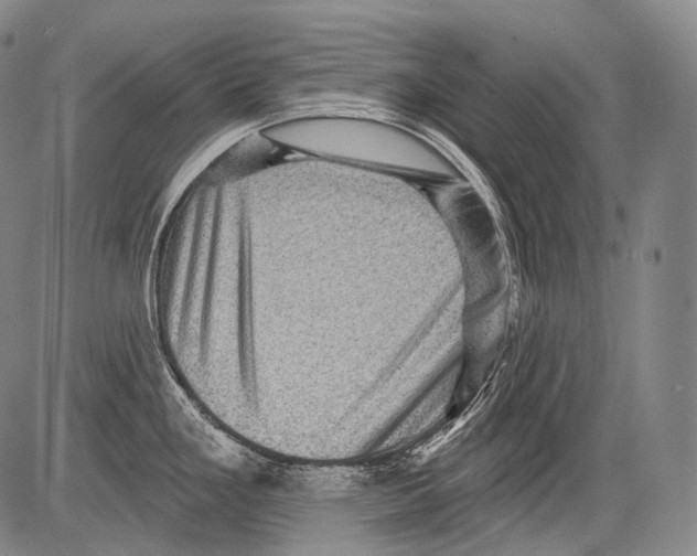 X0000082761293200702240055