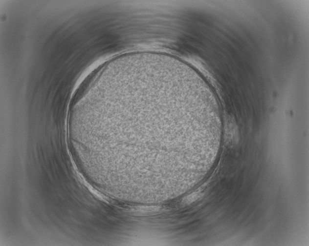 X0000082761294200702240055