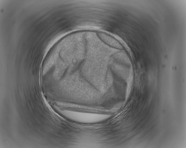 X0000082761295200702240055