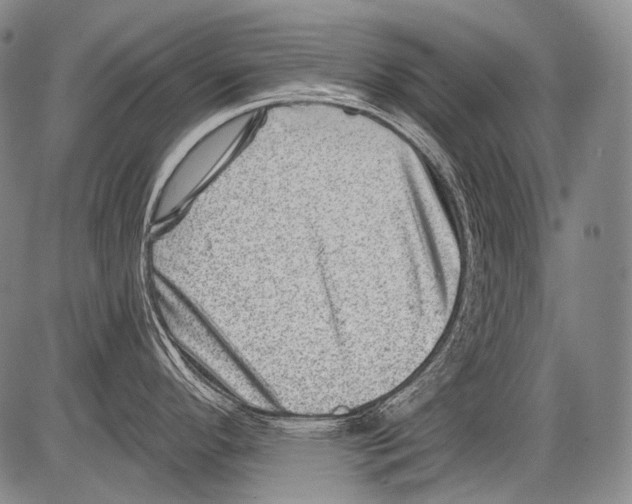 X0000082761296200702240055