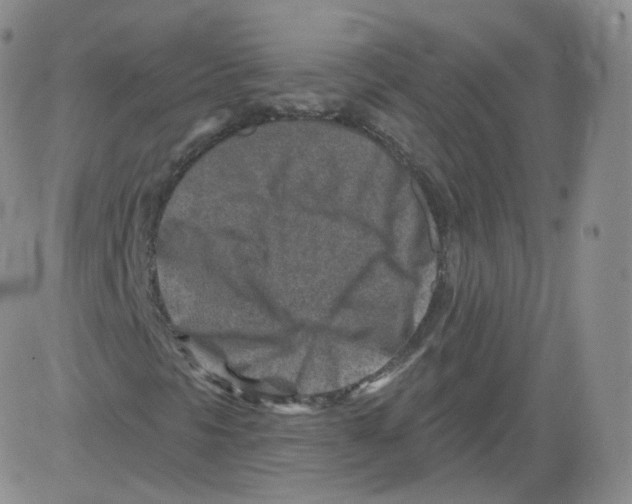 X0000082761297200702240054