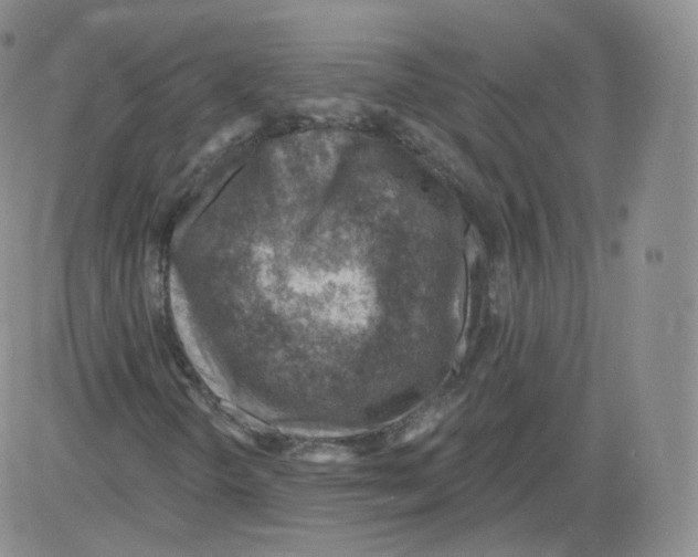 X0000082761298200702240054