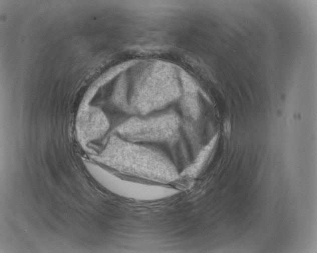 X0000082761300200702240054