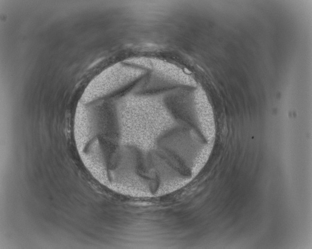 X0000082761301200702240054