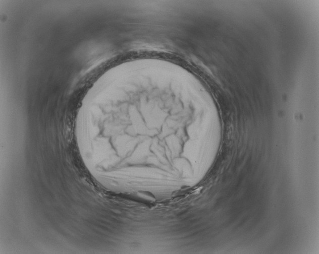 X0000082761303200702240054