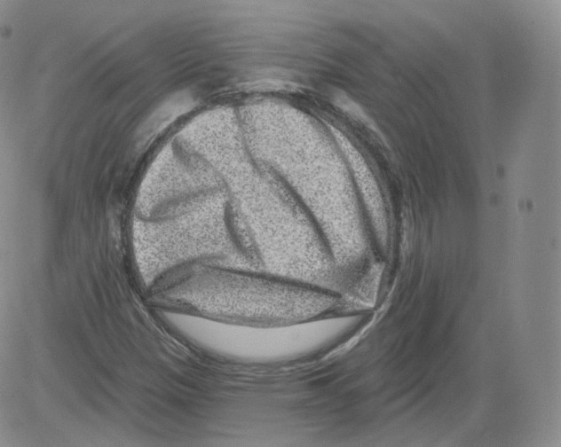 X0000082761305200702240054