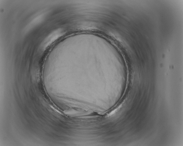 X0000082761306200702240054