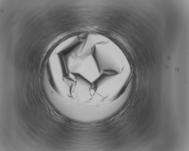 X0000082761308200702240054