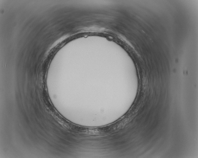 X0000082761315200702240054