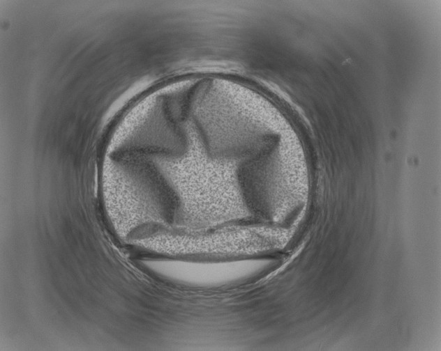 X0000082761317200702240054