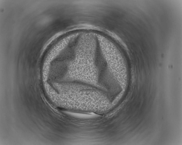 X0000082761318200702240054