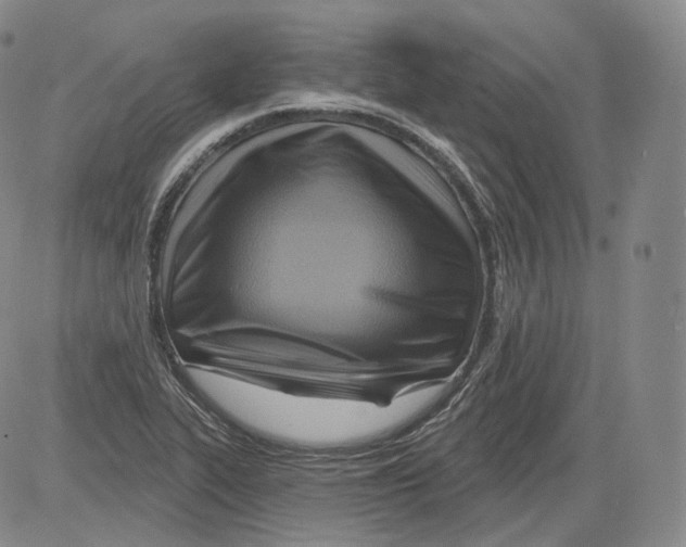 X0000082761319200702240054