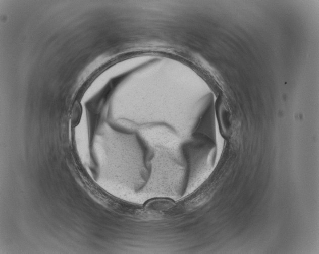 X0000082761320200702240054