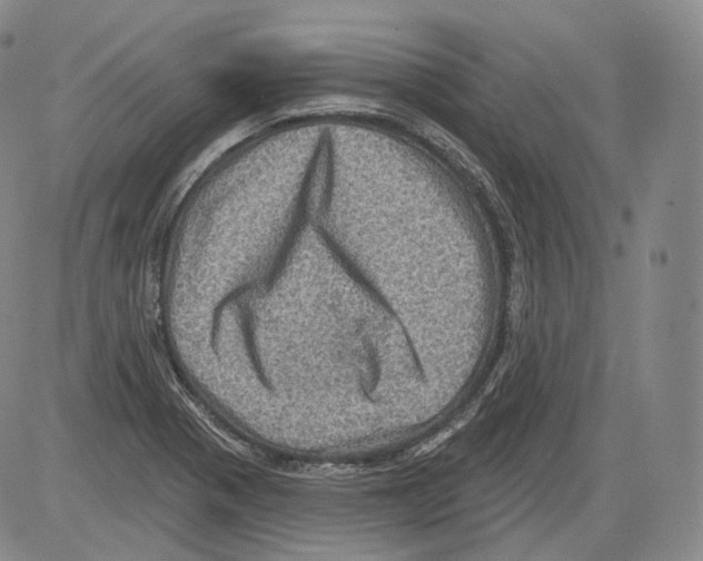 X0000082761321200702240054