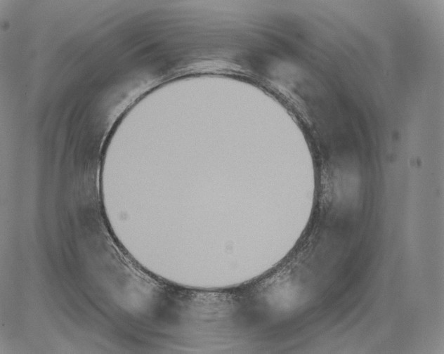 X0000082761322200702240054