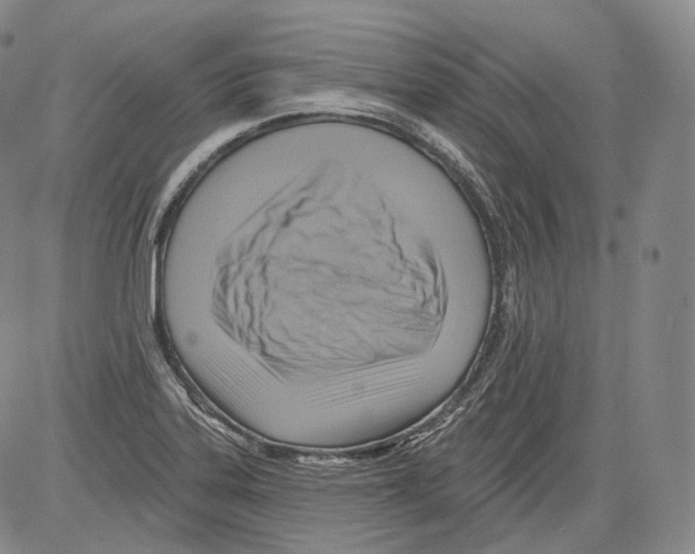 X0000082761323200702240054