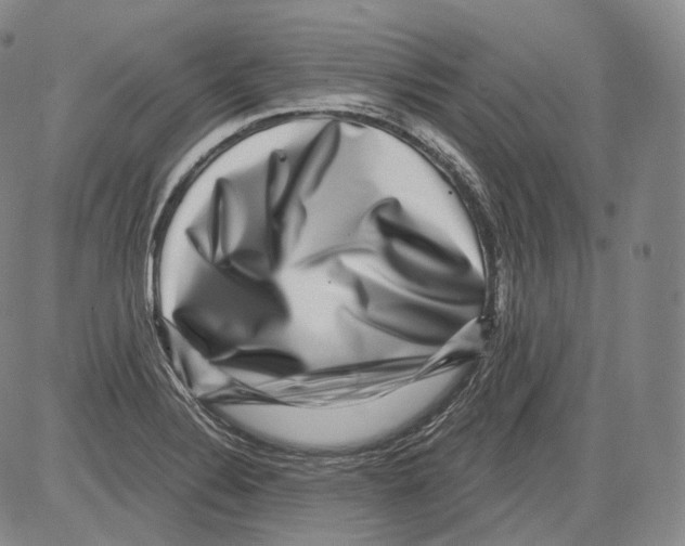 X0000082761324200702240054